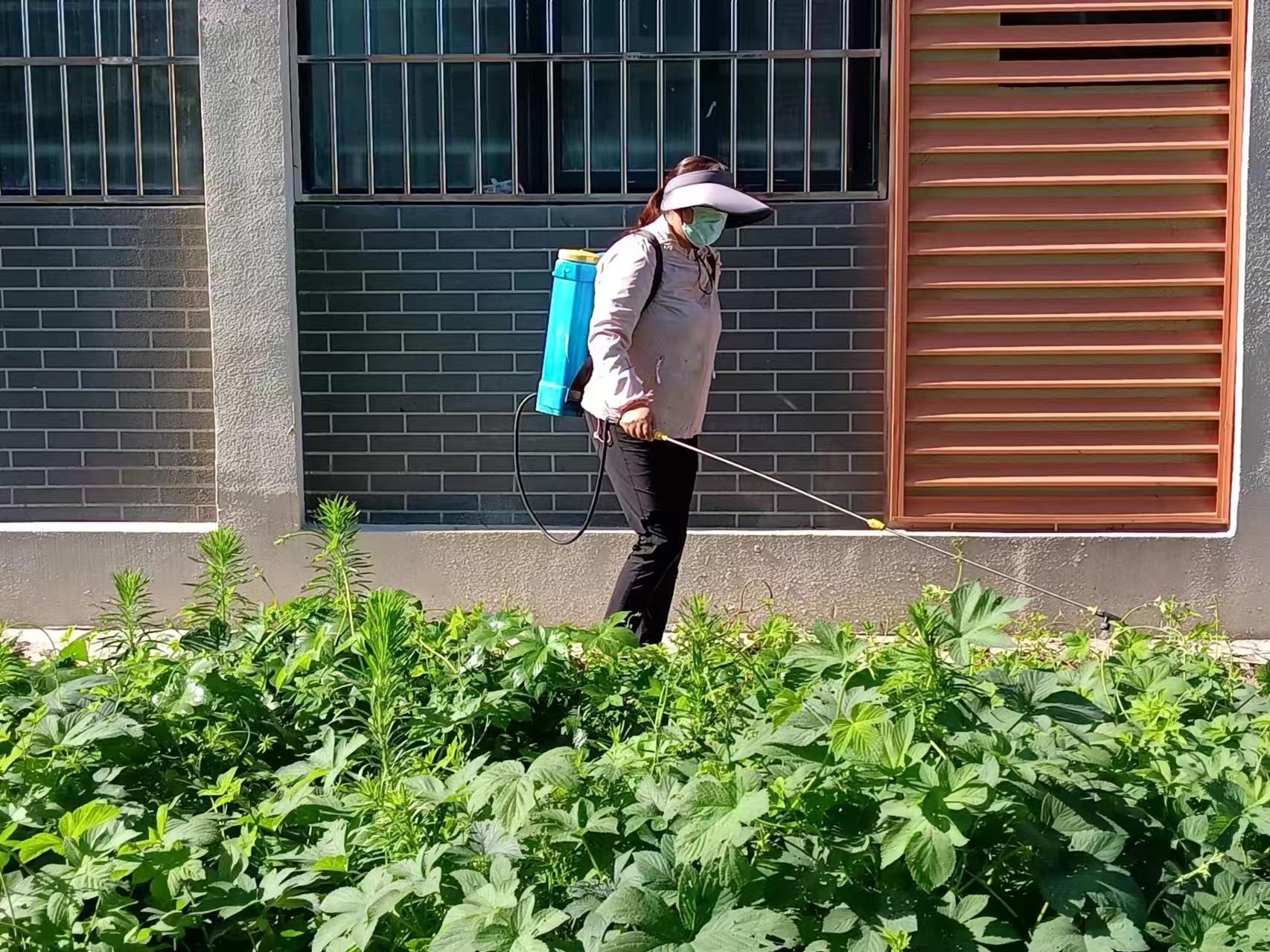 除杂草美校园 夏日劳动正当时 ——宿州应用技术学校项目部开展校园绿化整治行动