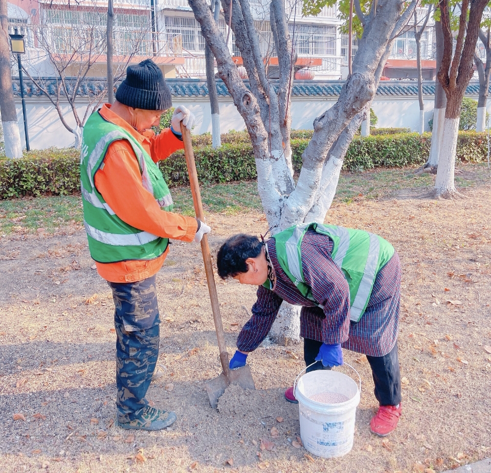 春暖花开正当时，精细养护焕新颜——宿州检察院项目部开展春季树木施肥工作